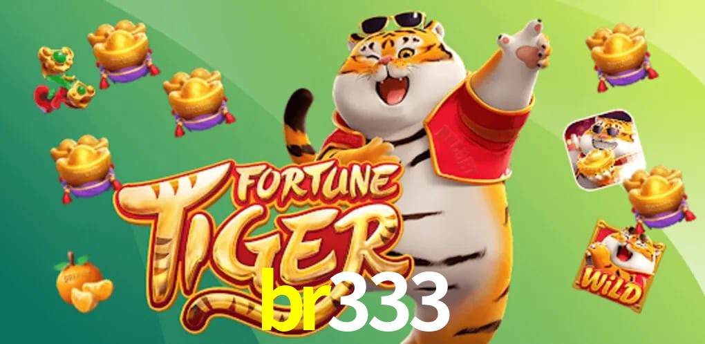 Sports Statistics br333