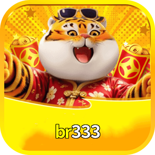 br333