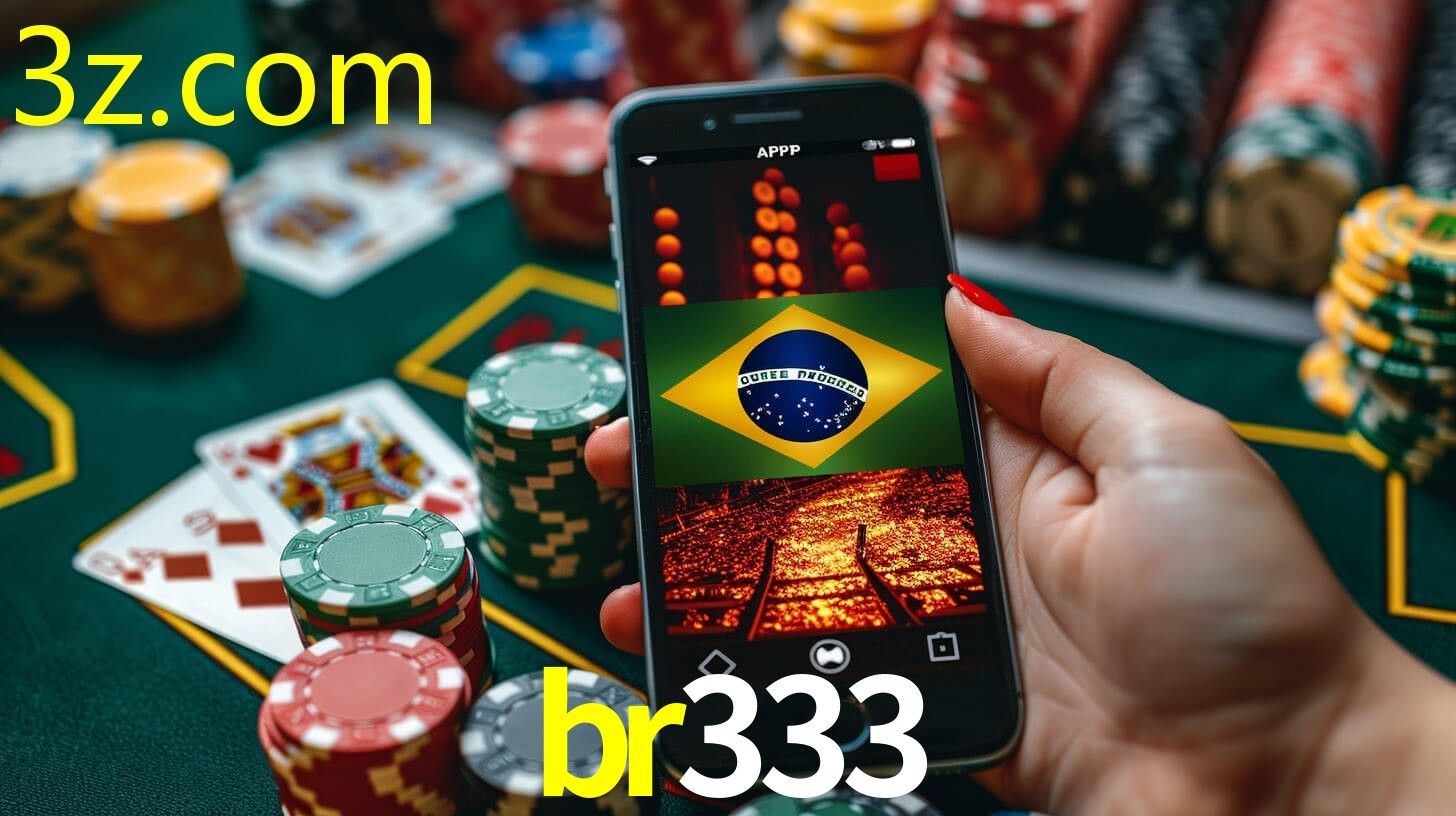 BR333